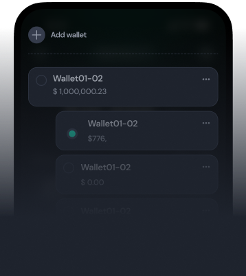 Multiple wallets